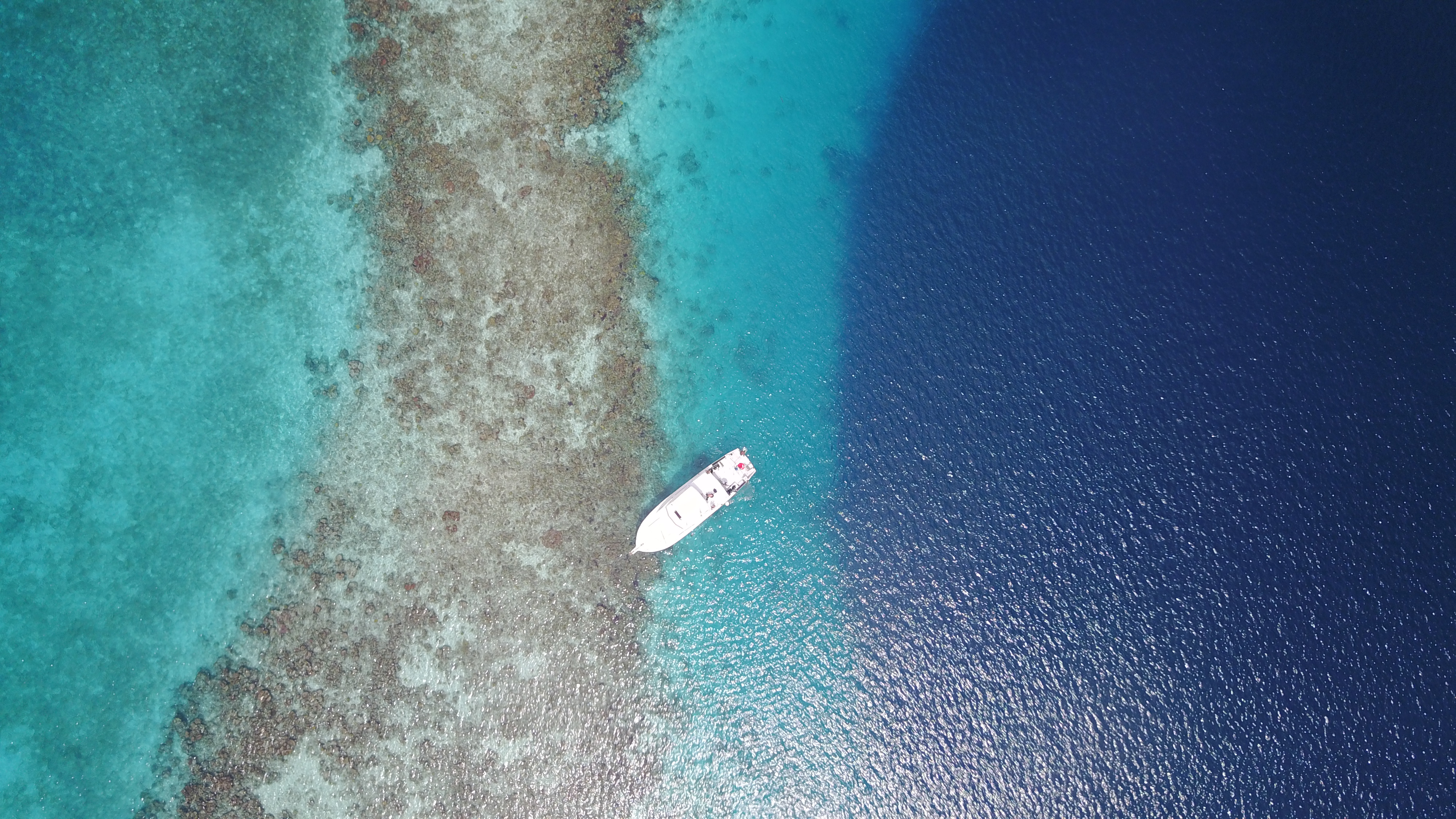 Drone huren voor op reis: Blue hole Belize